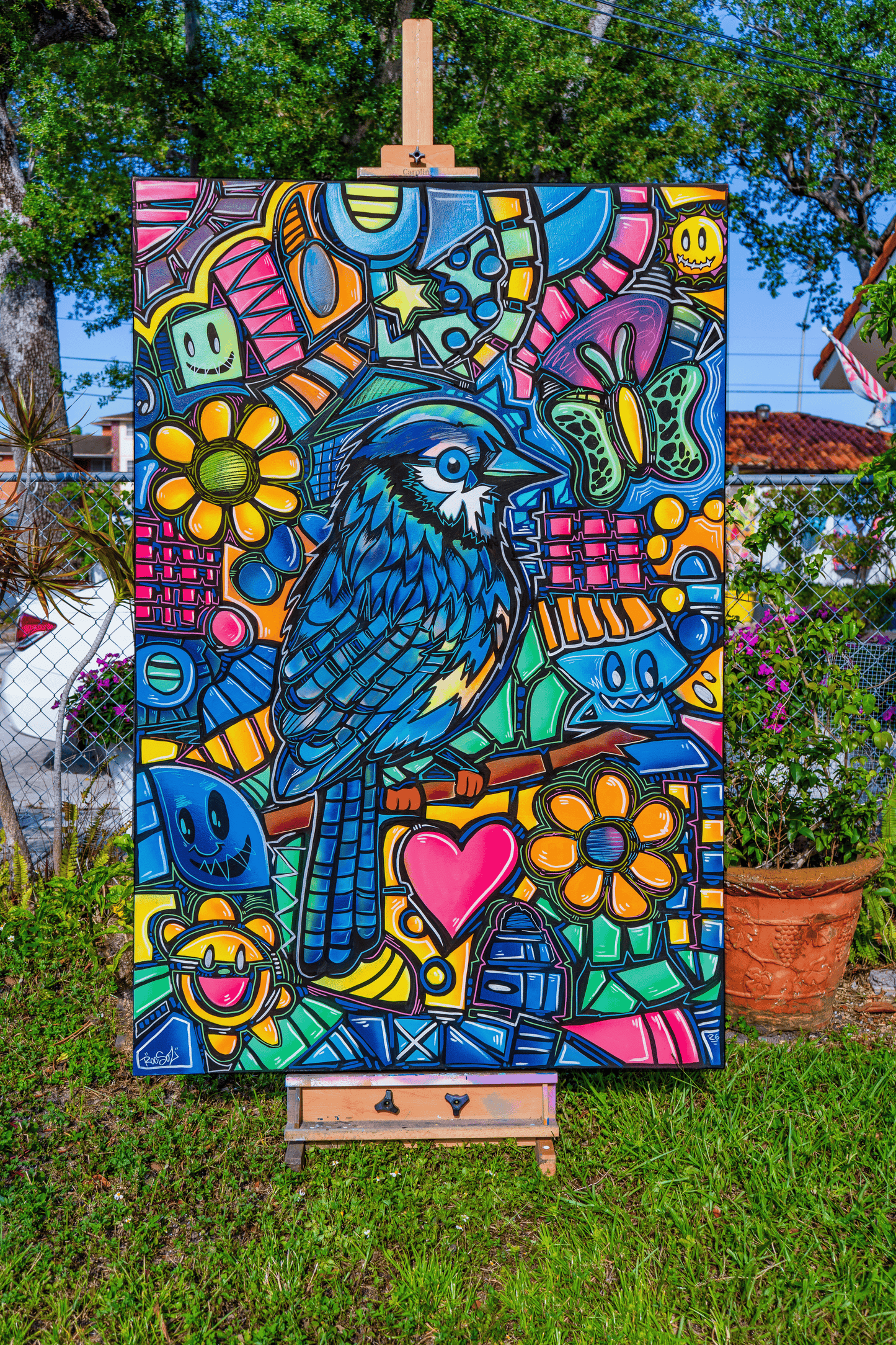 Blue Jay
